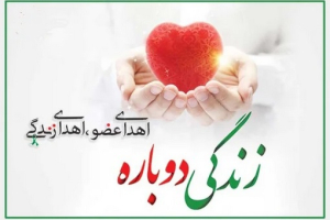 اهدای زندگی/ بانوی ۳۶ ساله‌ با اهدای اعضای خود، جان دوباره بخشید