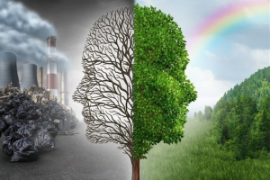 کاهش اثرات آلودگی هوا با توصیه های طب ایرانی