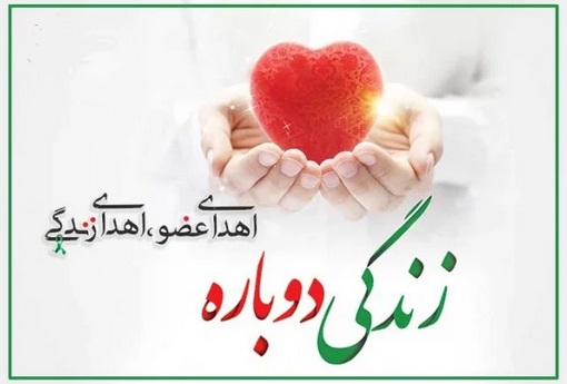 اهدای زندگی/ بانوی ۳۶ ساله‌ با اهدای اعضای خود، جان دوباره بخشید
