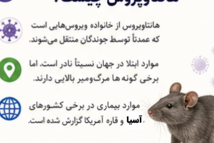 هانتا ویروس