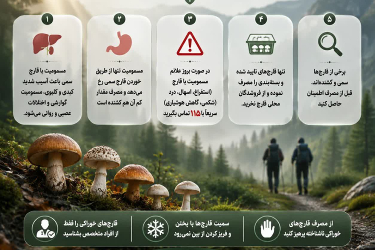  مسمومیت با قارچ‌های سمی، کشنده است.