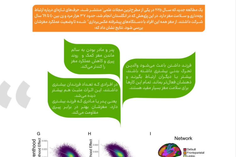 فرزند آوری نسخه تازه برای سلامت مغز در سالمندی