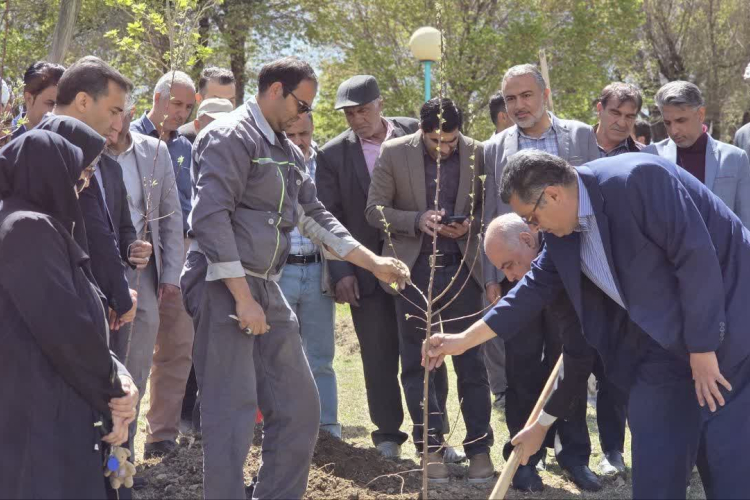 دانشگاهیان دانشگاه علوم پزشکی اصفهان به پویش درخت کاری  پیوستند