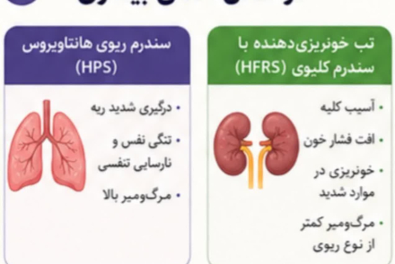 هانتا ویروس