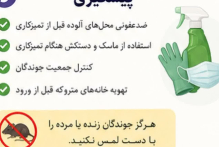 هانتا ویروس
