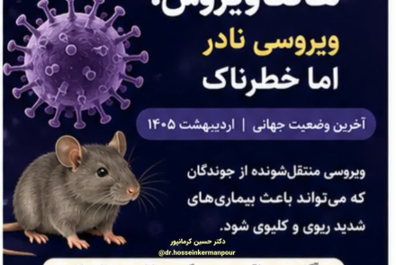 هانتا ویروس
