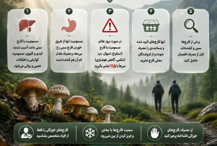  مسمومیت با قارچ‌های سمی، کشنده است.