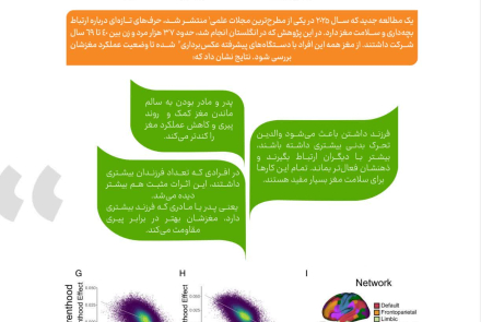 فرزند آوری نسخه تازه برای سلامت مغز در سالمندی