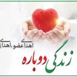 اهدای زندگی/ بانوی ۳۶ ساله‌ با اهدای اعضای خود، جان دوباره بخشید