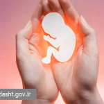 پاسخ معاونت بهداشت وزارت بهداشت به اخبار نادرست درباره سقط جنین